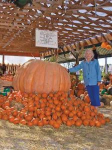 Giant Vegetable Gardeners Image